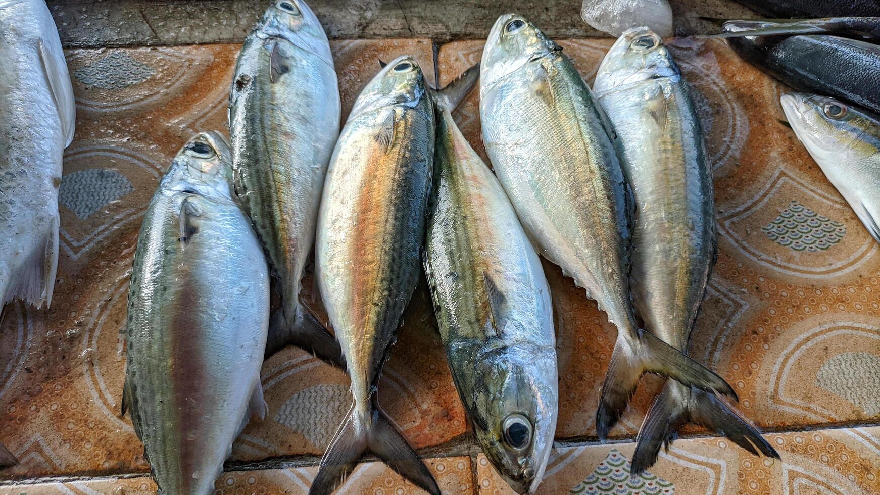 Makwala