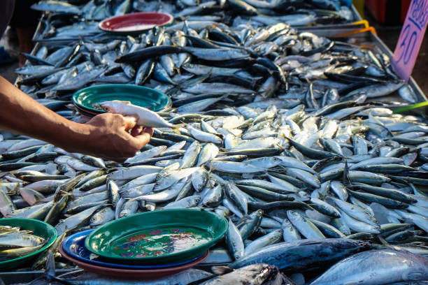 Vente de Poisson